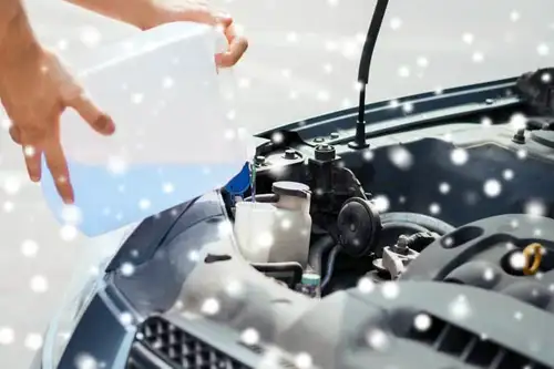 Free Winter Health Check's
